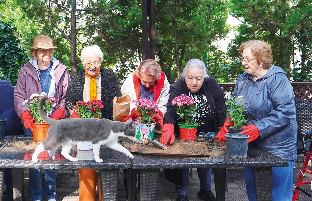 1 Ekim'de 81 İlde Yaşlılar İçin Yürüyüş