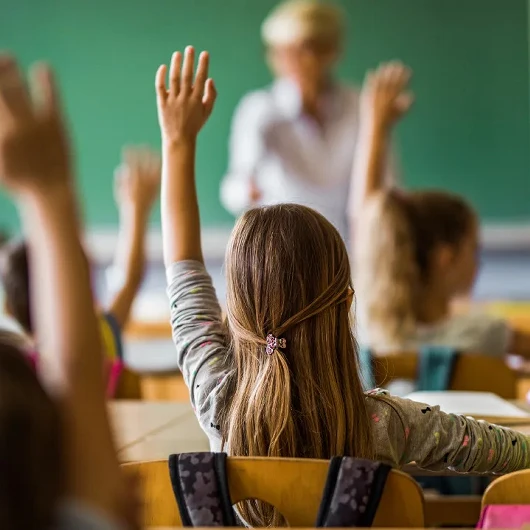 12 Yıllık Zorunlu Eğitim Toplumu Çökertti: Aile ve Evlilik Kurumu Tehlikede
