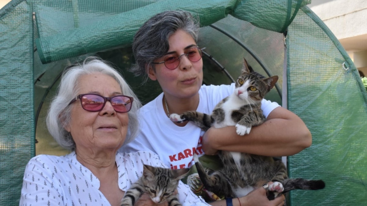13 Aylık Tekir Kedi Sürpriz Doğum Yaptı: Cinsiyeti Doğumda Anlaşıldı