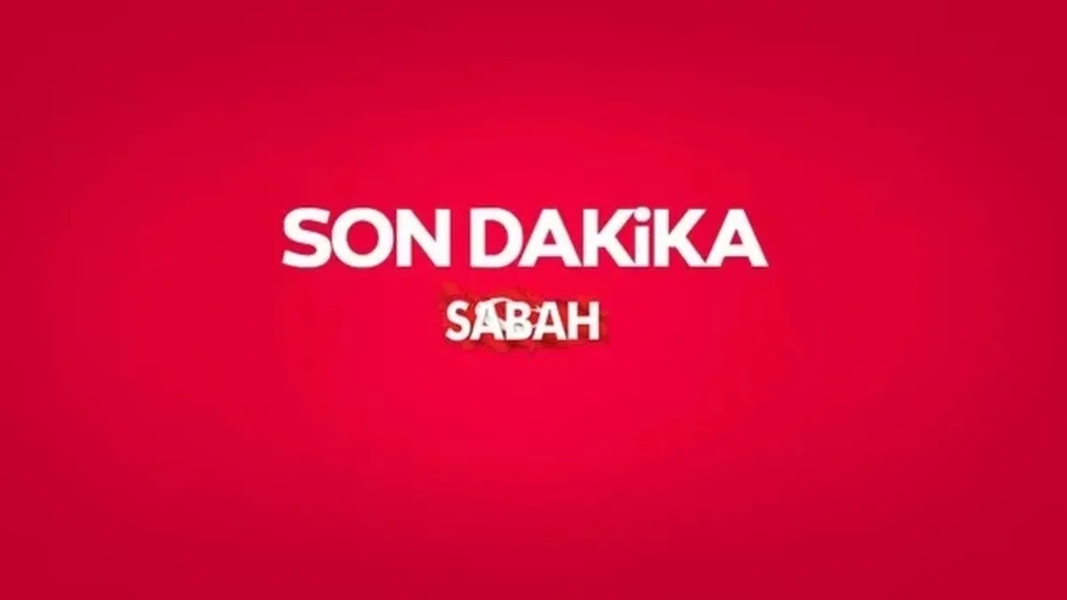 16 İldeki 44 Orman Yangınına Adli Soruşturma: 29 Şüpheli, 6 Tutuklama