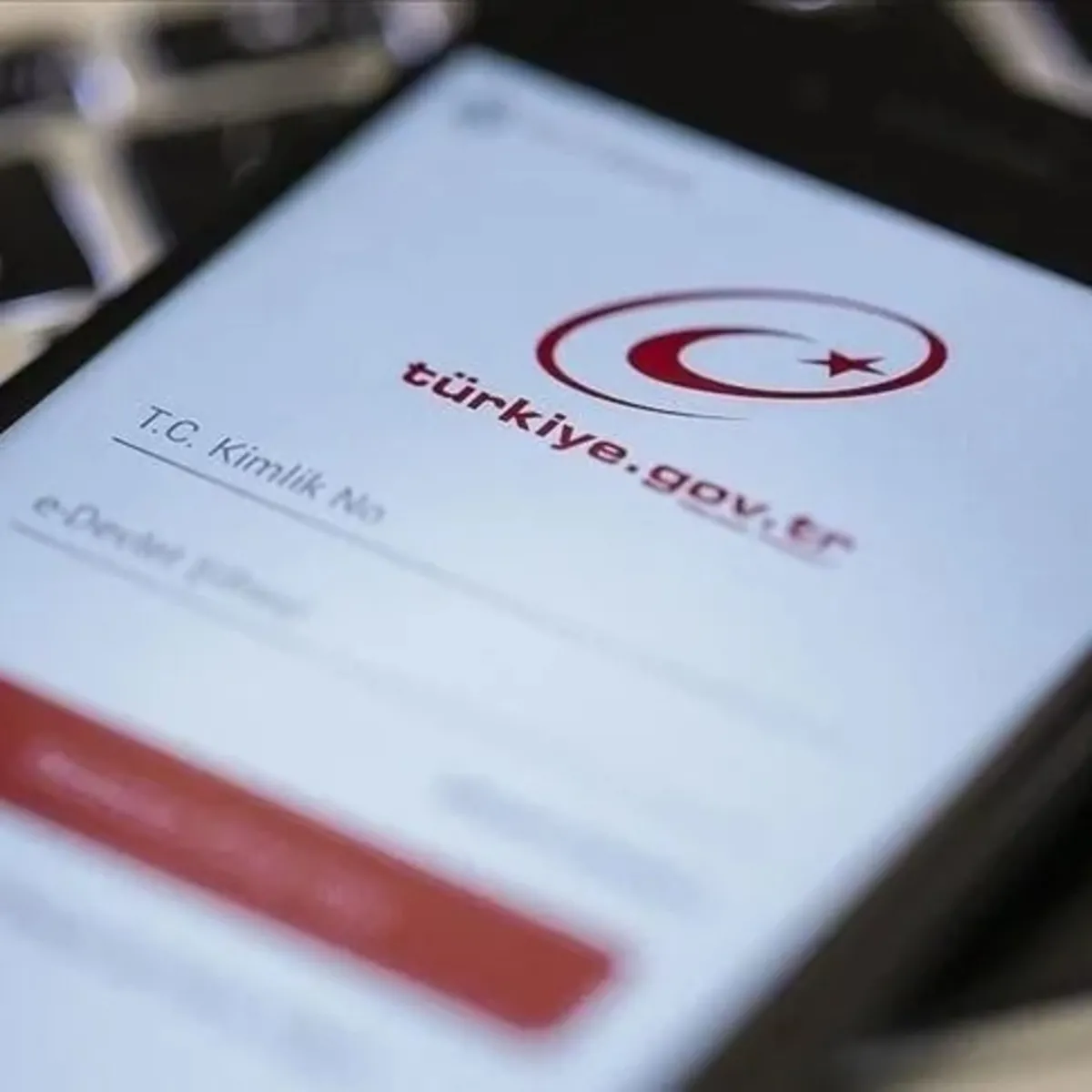 18 Yaş Altı Adli Sicil Belgesi e-Devlet'te: 51 Dilde Erişim