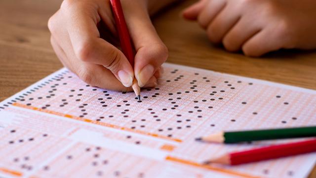 2026 YKS soru kitapçıkları ve cevap anahtarları ÖSYM'de yayında