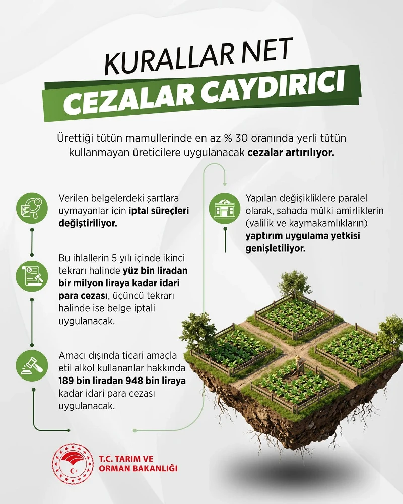 3 milyon vatandaşa tapu müjdesi: Orman Kanunu değişti, iade süreci başlıyor