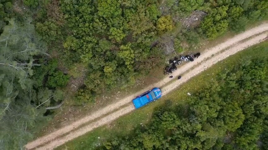 33 İlde Göçmen Kaçakçılığı Operasyonu: 51 Şüpheli Yakalandı