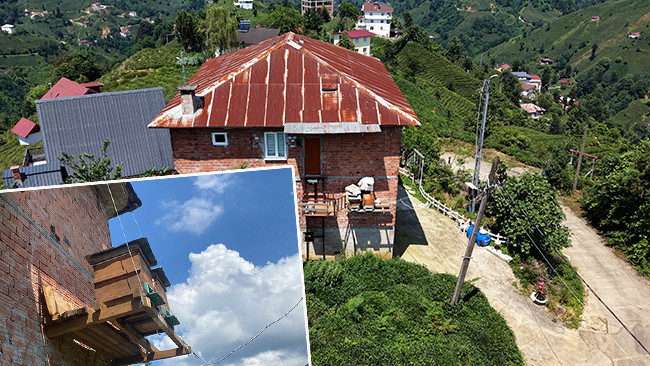 5 metre yükseklikte ayıya karşı Karadeniz zekası: Arı kovanlarına asansörlü platform