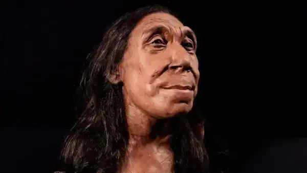 75 Bin Yıllık Neandertal Kalıntısında Şiddet İzi