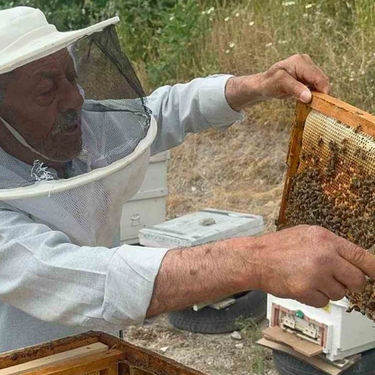 75'lik arıcı 20 yıldır Avrupa'ya bal gönderiyor