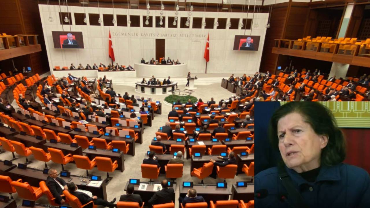 78 Yaşındaki Fon Mağduruna Meclis Yasağı: 'Paramızı Silkelediler