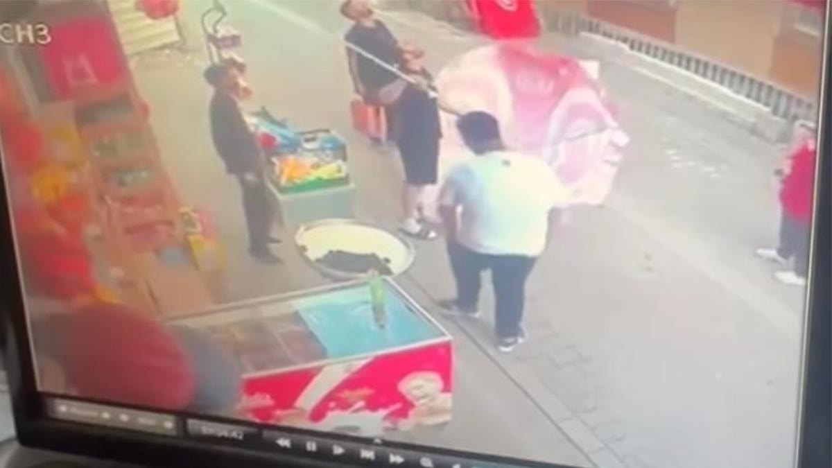 8. Kattan Düşen Yavru Kediyi Şemsiyeyle Kurtardı