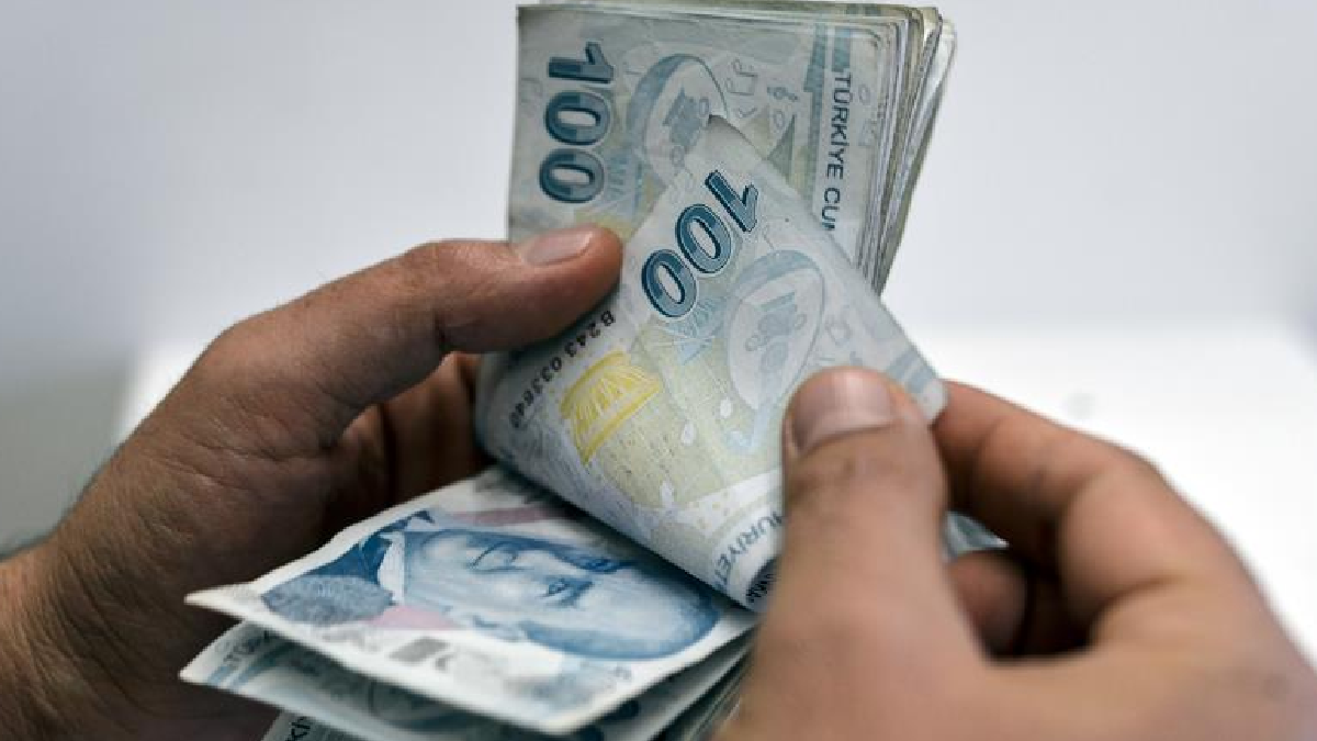 81 İlde Kazandıran Meslekler: Hangi Şehirde Hangi Sektör Öne Çıkıyor