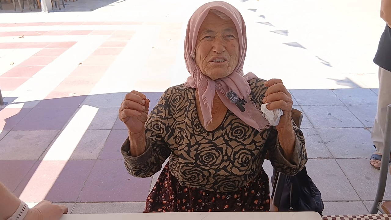 81 Yaşında İlk Kez Parti Üyesi Oldu: Karacasu'da YENİ Parti'ye Katılım Coşkusu