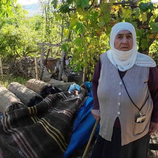 85'lik Hatice Nine'nin Karakovan Balına Talep Patlaması
