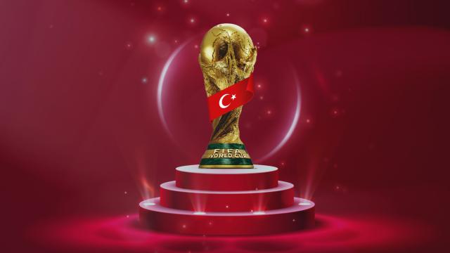 A Milli Takım Dünya Kupası'nda 3 Şehirde Oynayacak