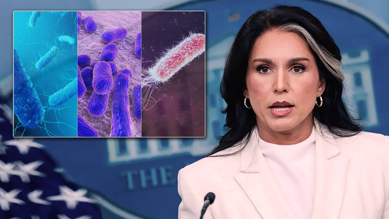 Gabbard: ABD’nin desteklediği biyolojik laboratuvar belgeleri yayımlandı