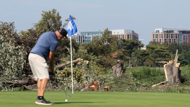 ABD'de Yargıç, Trump'ın Golf Sahasındaki Ağaç Kesimini Durdurdu