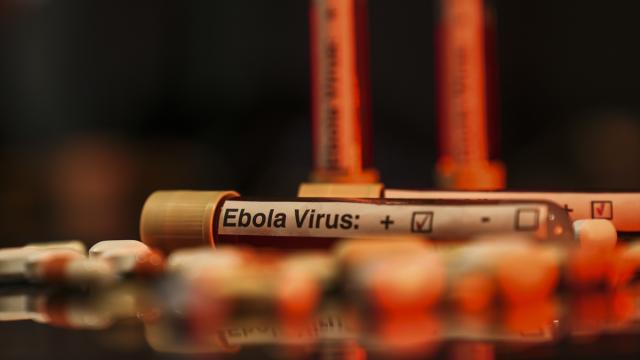 ABD'den Ebola uyarısı: Salgın tarihin en ölümcül seviyesine ulaşabilir