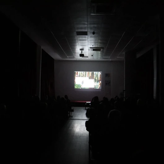 Adalar Kısa Film Yarışması'nda Ödüller Sahiplerini Buluyor