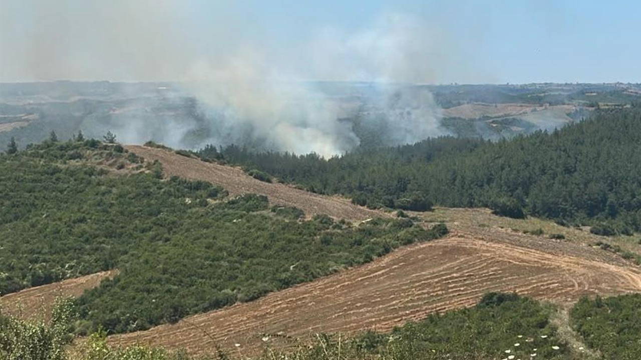 Adana'da anız yangını ormana sıçradı: 2 helikopter müdahale ediyor
