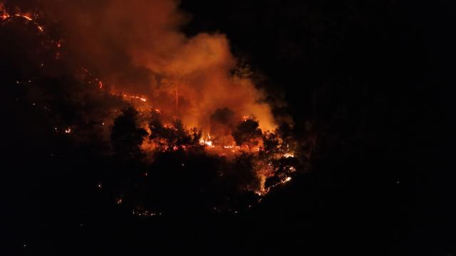 Adana Karaisalı'ndaki orman yangını kontrol altına alındı