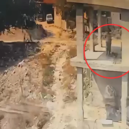 Adana'da Köpeğe Sopalı Şiddet: Güvenlik Kamerası Görüntüleri Ortaya Çıktı