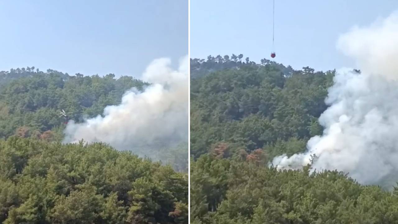 Adana Kozan'da Orman Yangını: Havadan ve Karadan Müdahale Sürüyor