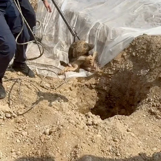 Adana'da Kuyuya Düşen Köpek İtfaiye Tarafından Kurtarıldı
