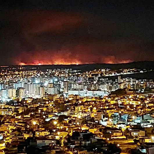 Adana'da Orman Yangını: 3 İlçe Etkilendi, 2 Köy Tahliye Edildi