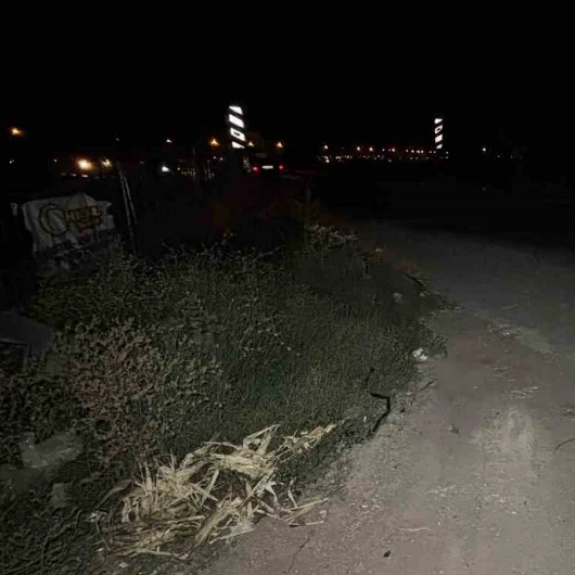 Adana'da Otoyol Kenarında Çürümüş Erkek Cesedi Bulundu