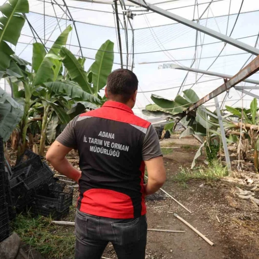 Adana'da süper hücre: 15 dakikada çatılar uçtu, 20 bin civciv telef oldu