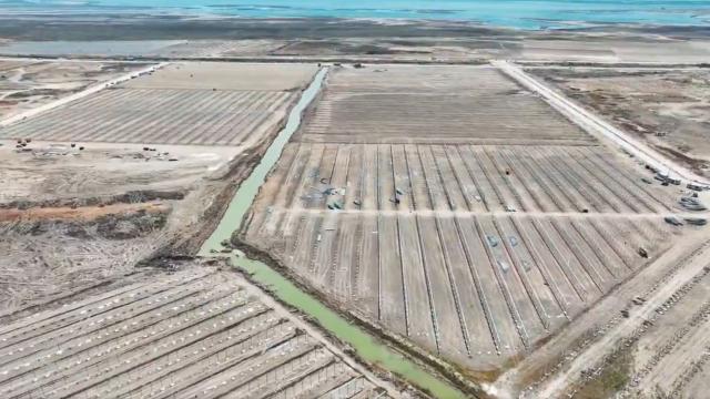 Adana'da Topraksız Tarım Hamlesi: 5 Bin Kişilik İstihdam Yolunda
