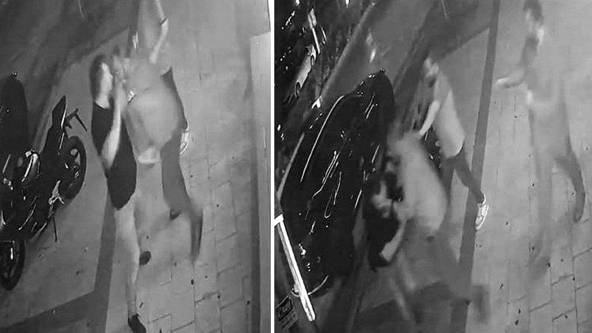 Adana'da Trafik Kavgası: Sopayla Saldırıp Takip Etti