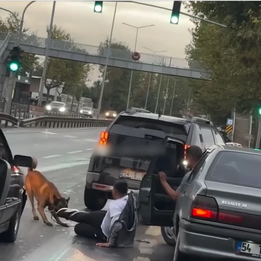 Adapazarı'nda Sabah Yürüyüşünde Köpek Saldırısı: Eşofmanına Dişlerini Geçirdi