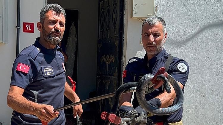 Adıyaman'da Lavabodan Çıkan Yılan Panik Yarattı