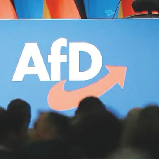 AfD'nin Anket Zaferi ve Almanya'daki Gizemli Şiddet Olayları