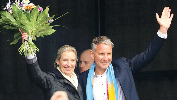 AfD'li Höcke'den Türklere yönelik ırkçı söylem: 'Sayıları azaltılmalı