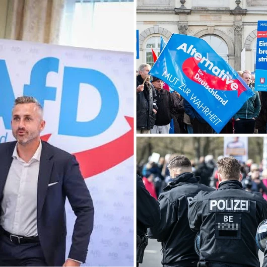 AfD'den skandal silahlı sınır dışı iması