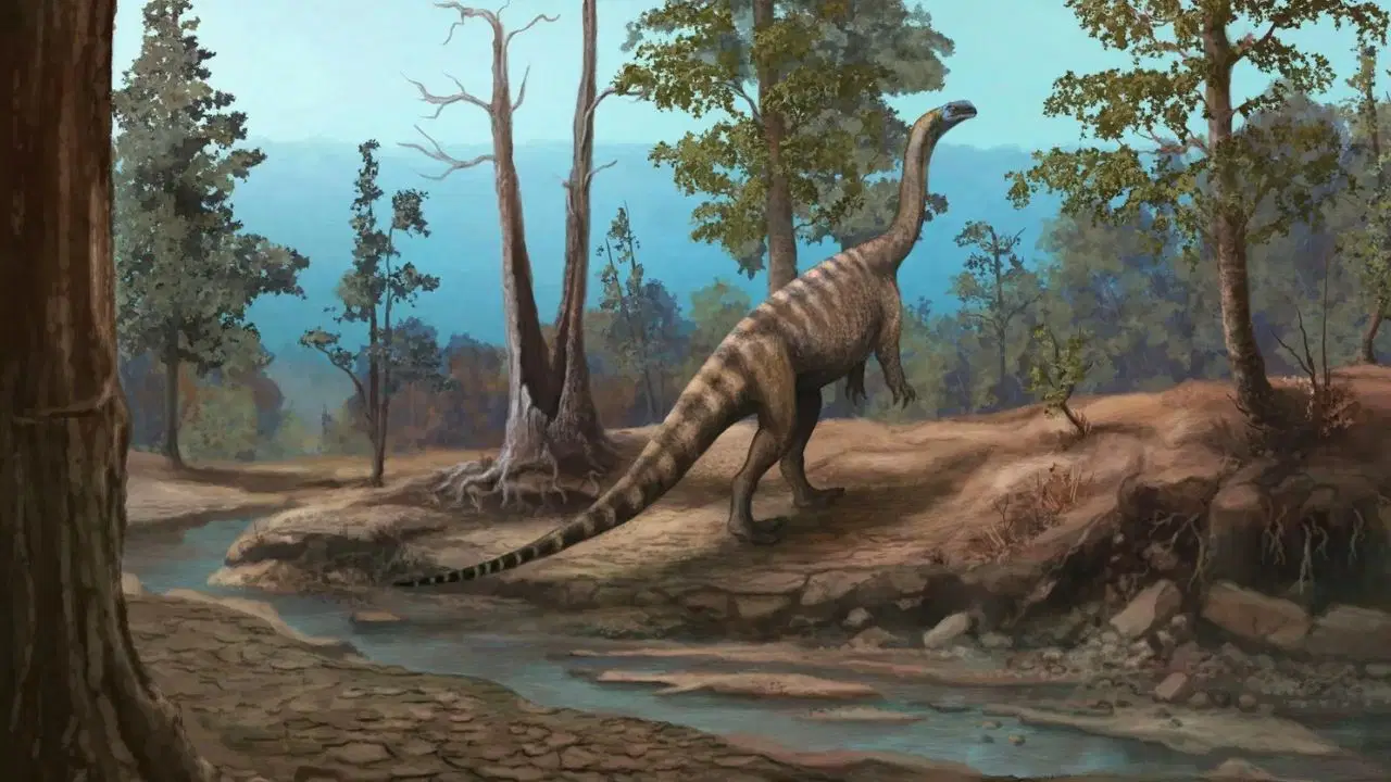Afrika'da 210 Milyon Yıllık Yeni Dinozor Türü Bulundu