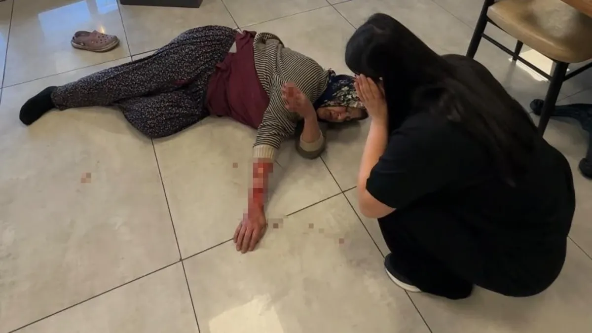 Afyonkarahisar'da korkunç saldırı: Başıboş köpek kadının kolunu kopardı