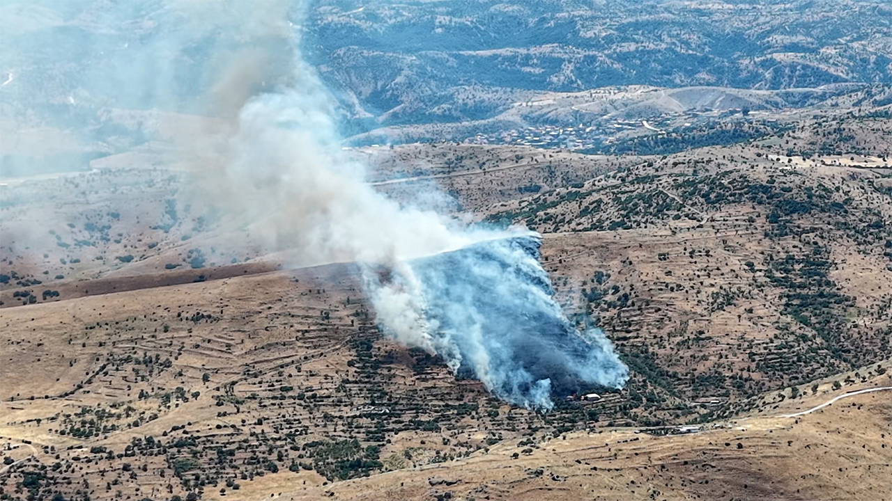 Afyonkarahisar'da Orman Yangını: Hava Desteği İsteniyor