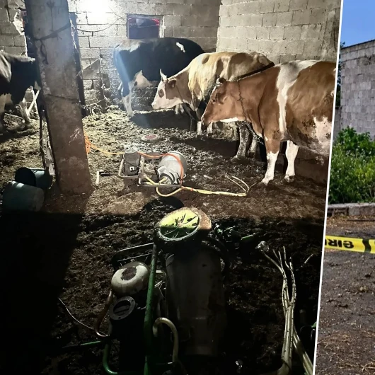 Ahırda süt sağarken elektrik akımına kapılan kadın hayatını kaybetti
