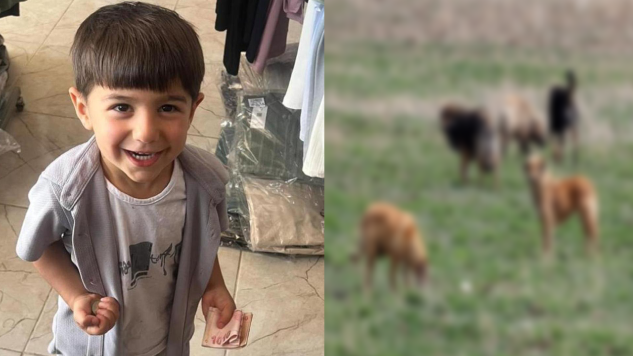 Aile defalarca uyardı! 5 yaşındaki Hamza köpek saldırısında öldü