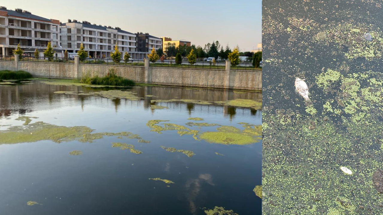 Akarçay’da kirlilik şikayetleri sürüyor, belediye temizlik söylemini kanıtlayamadı