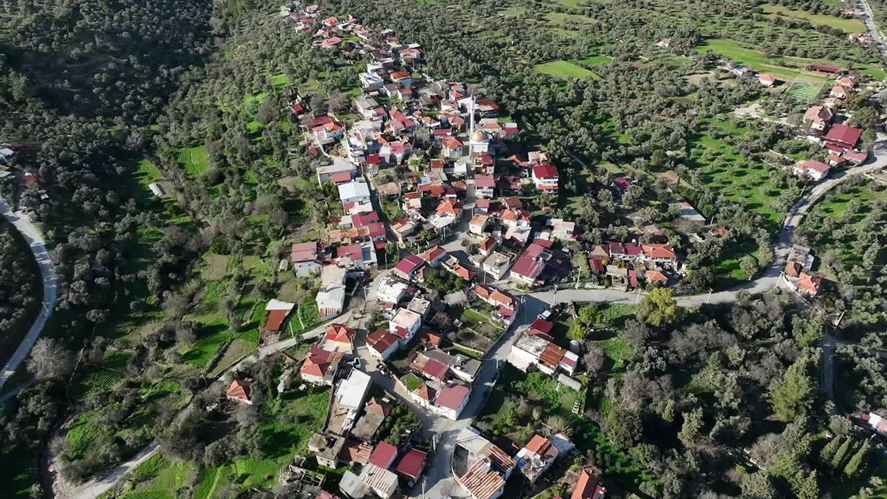 Akbelen'de Acele Kamulaştırma Davası: Danıştay Savcısı'ndan Kamu Yararı Mütalaası