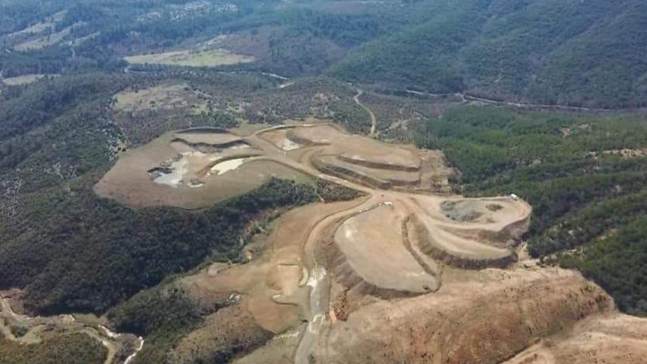 Mahkemeden Akçansa'ya şok: 23 bin ağaçlık projeye ÇED iptali