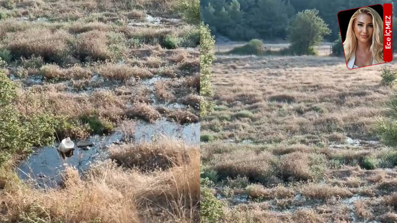 Akçaova TOKİ'de çevre skandalı: Atık su tarım arazisine akıyor