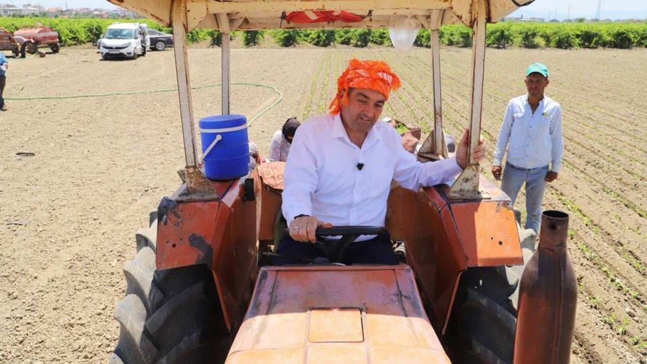 AKP'li Başkan Cıllı üzüm hasadında elini makineye kaptırdı