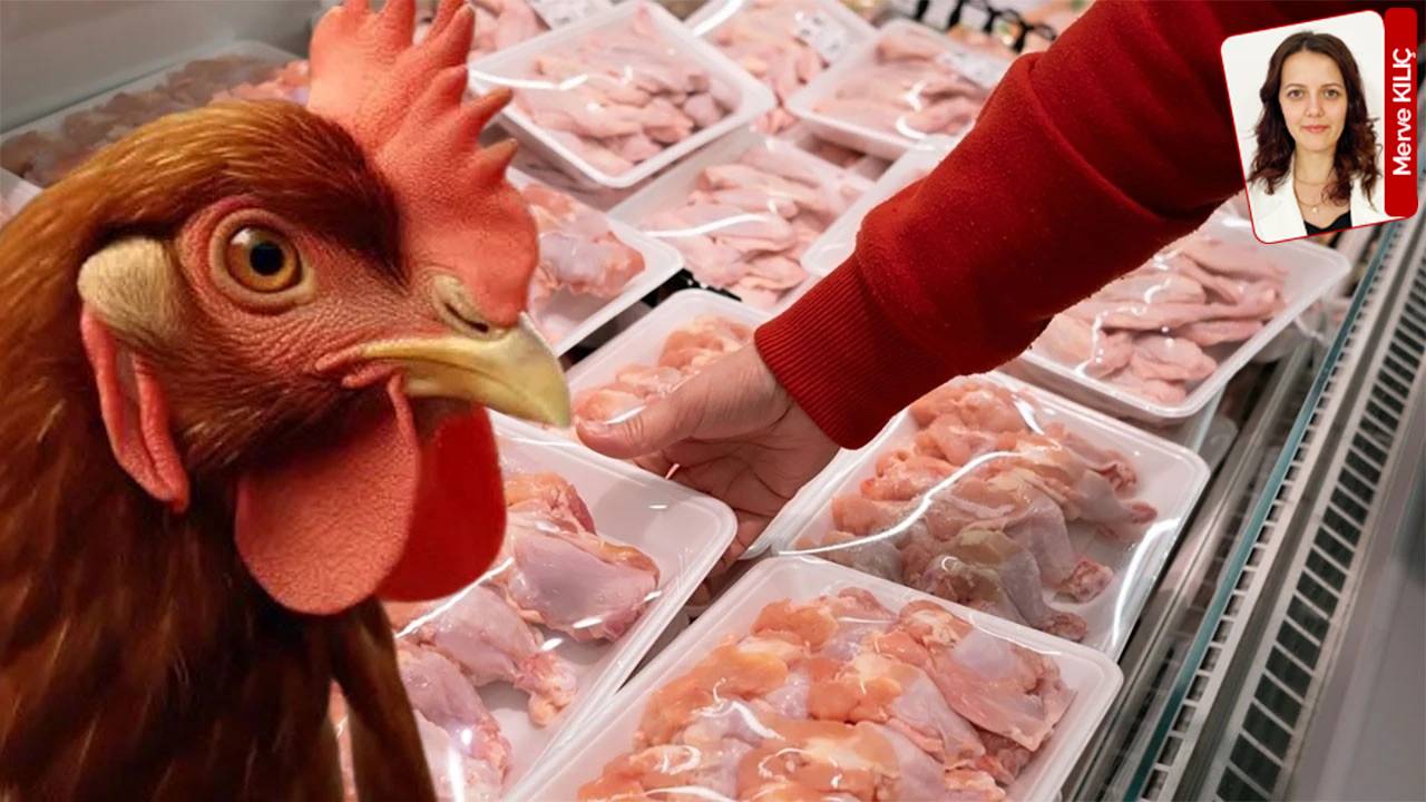 AKP'den tavuk operasyonu savunması: Gıda enflasyonunda suçlu biz değiliz