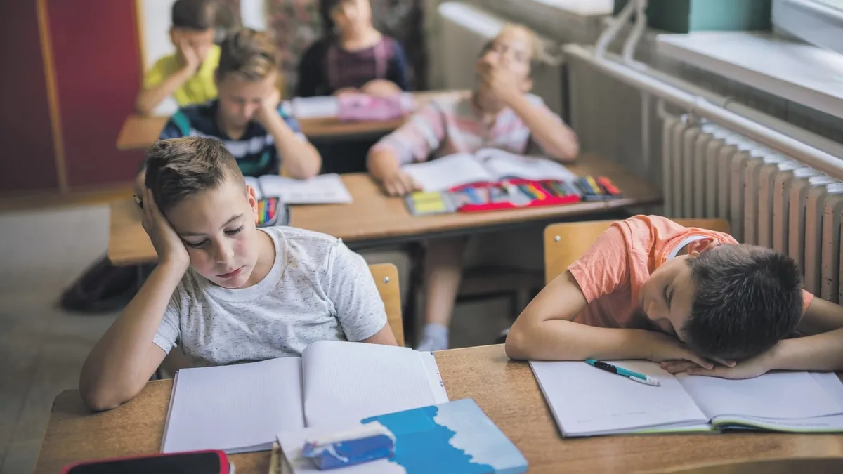 Akran zorbalığı masaya yatırıldı: Meclis'te gençler anlattı