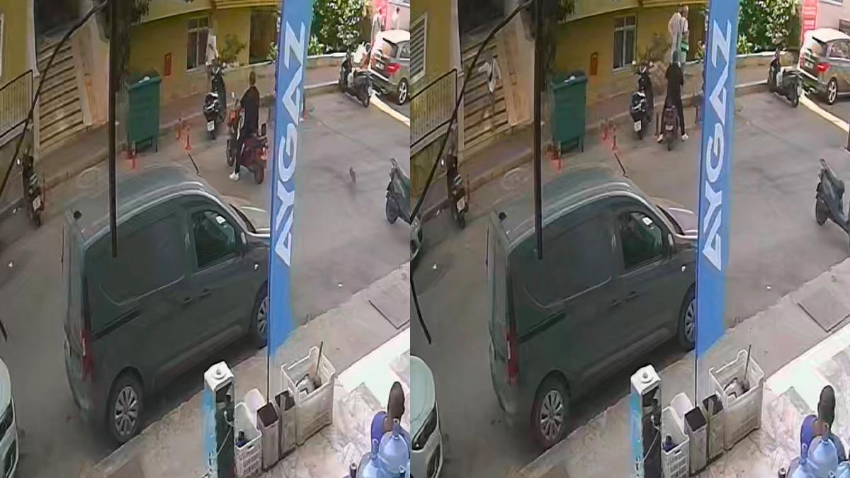 Alanya'da Canilik: Çocuk, Kediyi Yerden Alıp Fırlattı! Tepki Yağdı