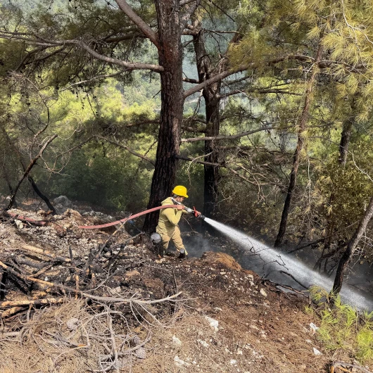Alanya'da Orman Yangını Kontrol Altına Alındı